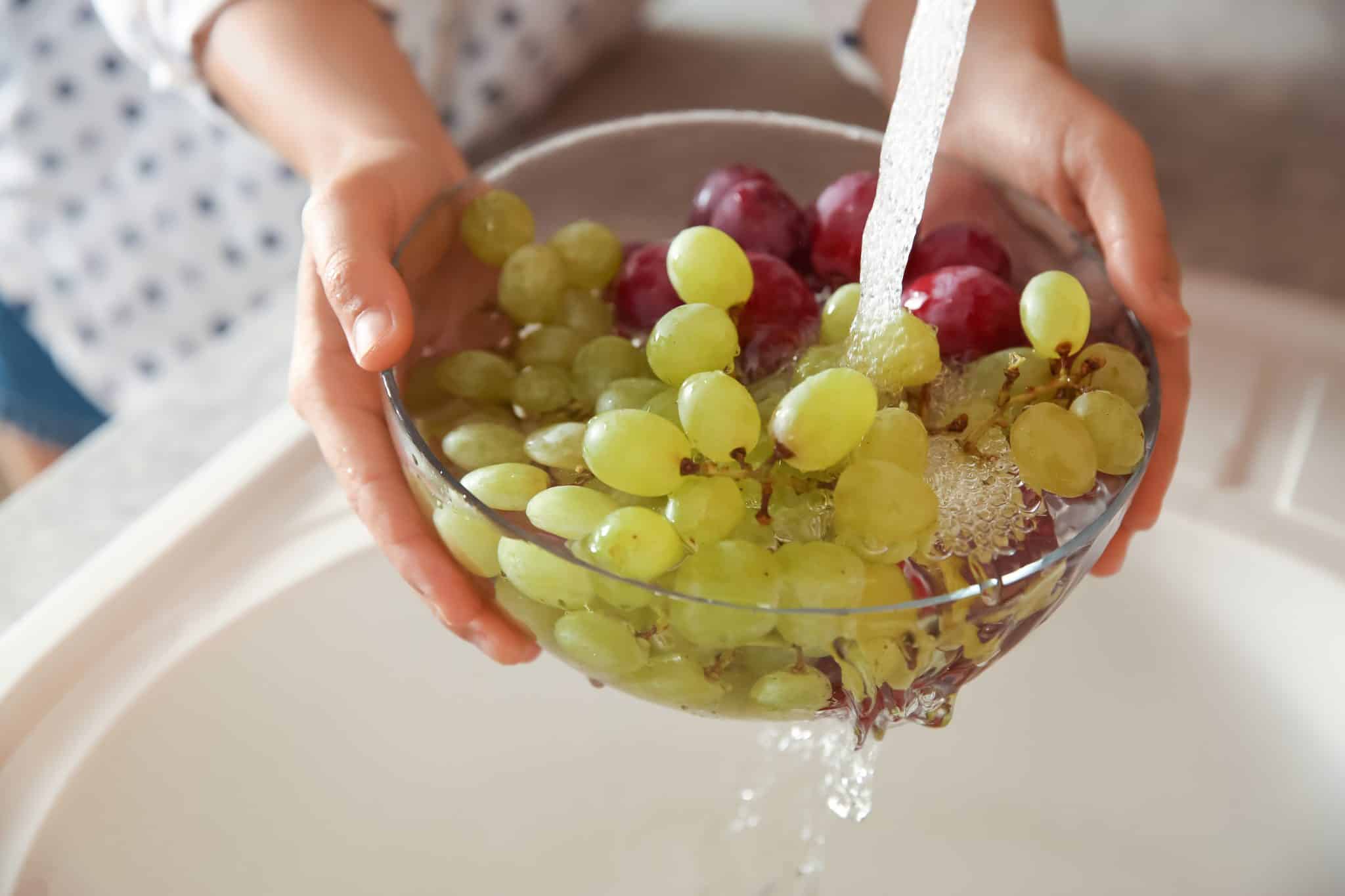 Are Grapes AntiInflammatory? Discover the Health Benefits Handy Cookbook